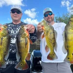 Bass Fishing Everglades Peacock Bass