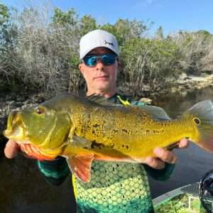 Big Peacock Bass Fishing