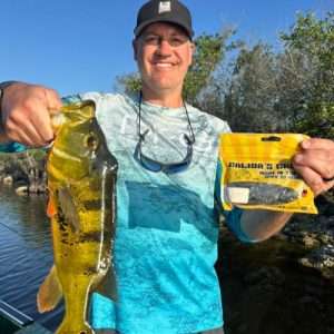 Everglades Artificial bass fishing peacock