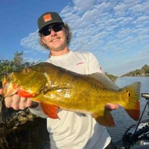 Fishing Peacock Bass Everglades