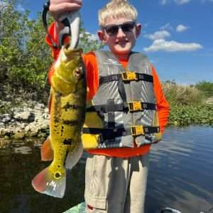 Florida Everglades Peacock Bass