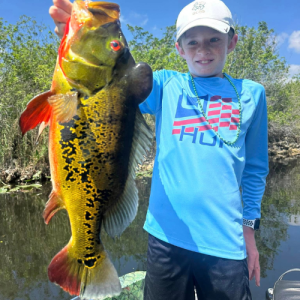 Florida peacock bass fishing trips