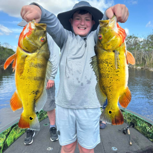 South Florida Peacock Bass Fishing