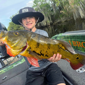 Trophy Florida Peacock Bass Fishing